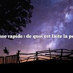 Réponse rapide : de quoi est faite la pectine